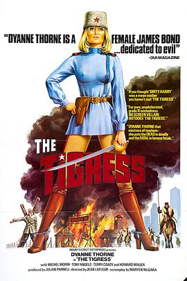 怎么进行seo诊断